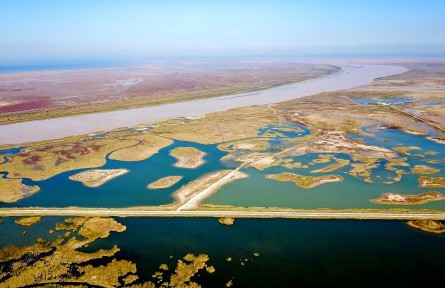 描绘黄河生态新画卷——黄河沿岸水保护见闻
