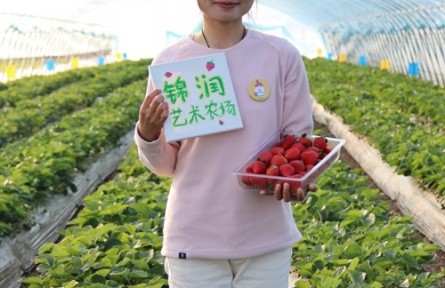 王鹤：“00后”女孩返乡做种草莓的艺术家