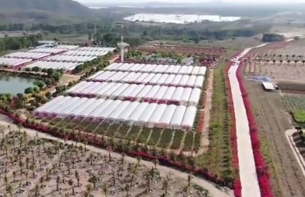 海南：多举措助农增收 推动产业快速发展