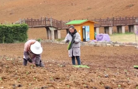 贵州：农业产业提质增效 乡村振兴扎实推进