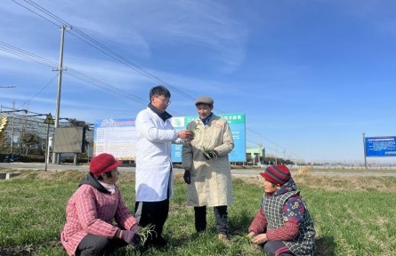 扬州大学：“田管家”团队向寒而行 守护小麦安全越冬
