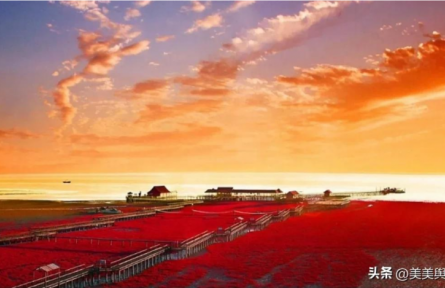 世界红色海岸线——盘锦红海滩