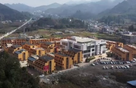 云南：大力推进“森林粮库”建设 林下经济蓬勃发展