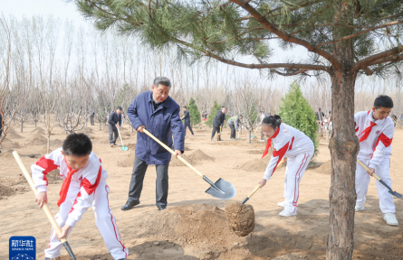 习近平在参加首都义务植树活动时强调  全民植树增绿 共建美丽中国