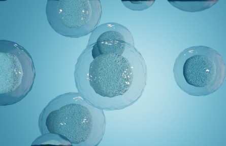 科技名词 | 细胞培养 cell culture