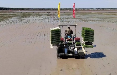 北大荒：智慧农机赋新能 黑土春耕“科技范儿”